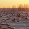 Зимний закат в поле. Автор: GribanovD