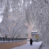 Замороженные деревья. Автор: Luciano (www.wideview.it/travel)