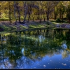 Осенние отражения в стоячей воде. Железноводск. Автор: Eugenevs